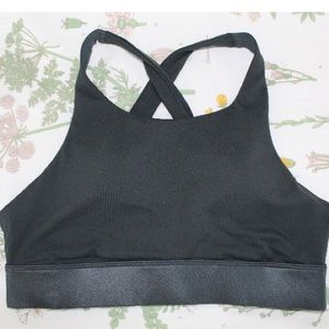 Fabletics High Impact Shine Sports Bra